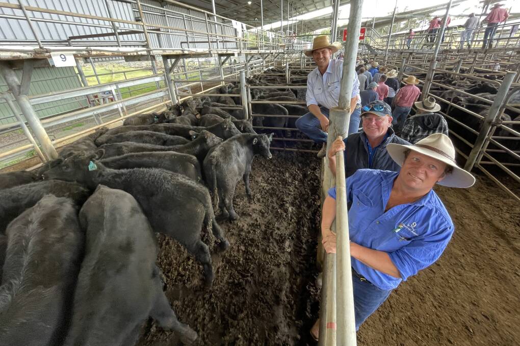 Prices hold across the board for Elders' weaner sale, with forecast rain providing hope.