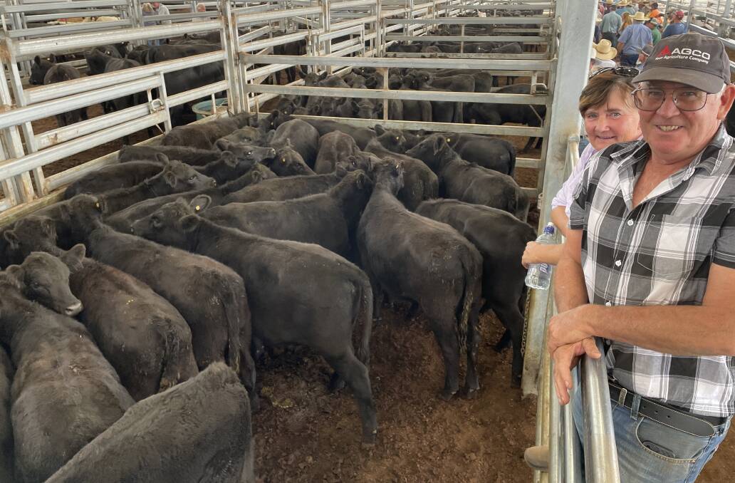 Kerry and Mark Foster, Ellesmere, Ebor, with a pen of weaners heifers offered by Wilkinson Grazing, Messines, Guyra. Pictures by Simon Chamberlain
