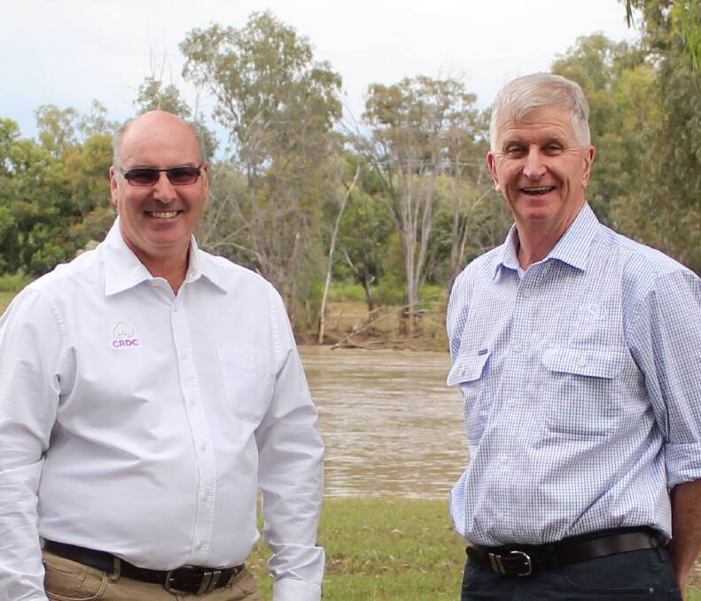 Cotton Seed Distributors' new chief executive officer is Dr Ian Taylor, pictured with retiring CEO Peter Graham. Picture supplied by CSD