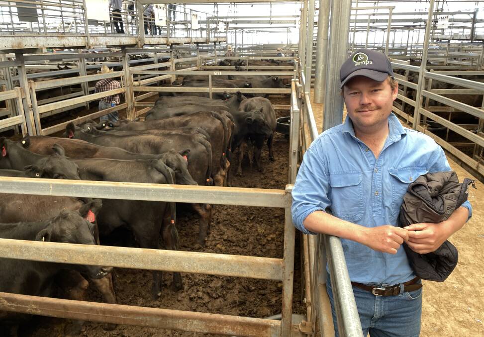 Cow and calf units made $4350, while PTIC Angus heifers in calf to Wagyu bulls sold for $4200.