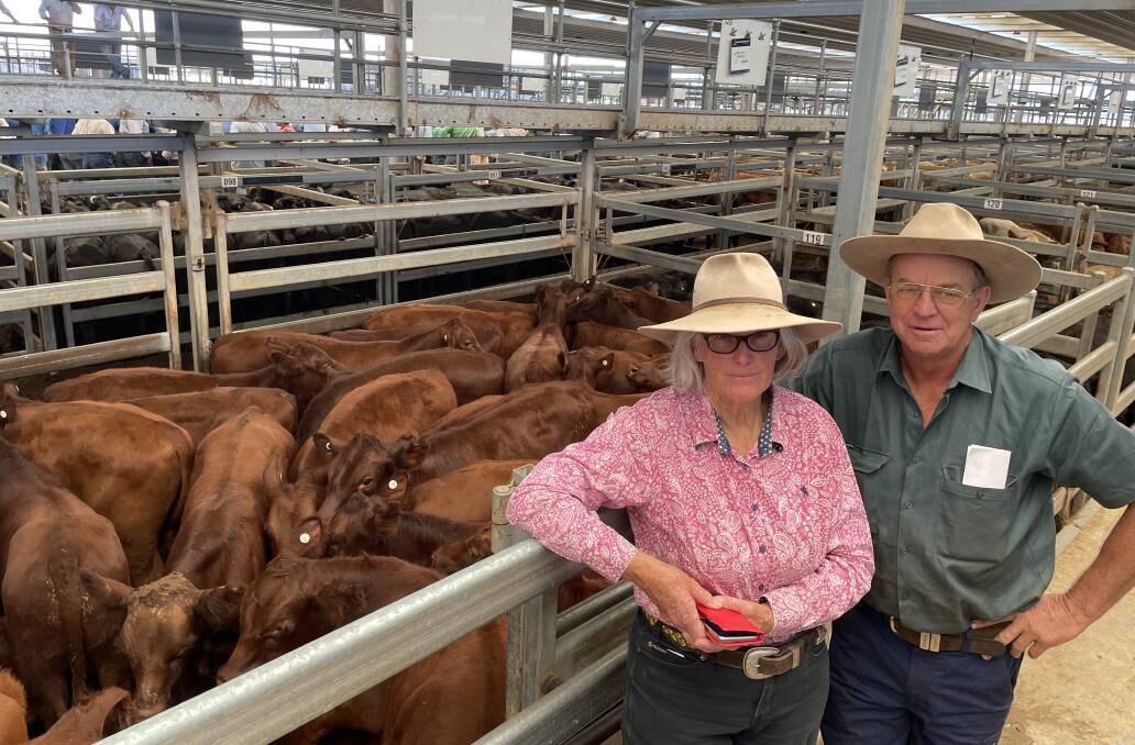 Jan and Roger McDowell, Tregoen, Pilliga with the 40 Yamburgan blood Shorthorn weaner steers they sold for $1090. Pictures by Simon Chamberlain