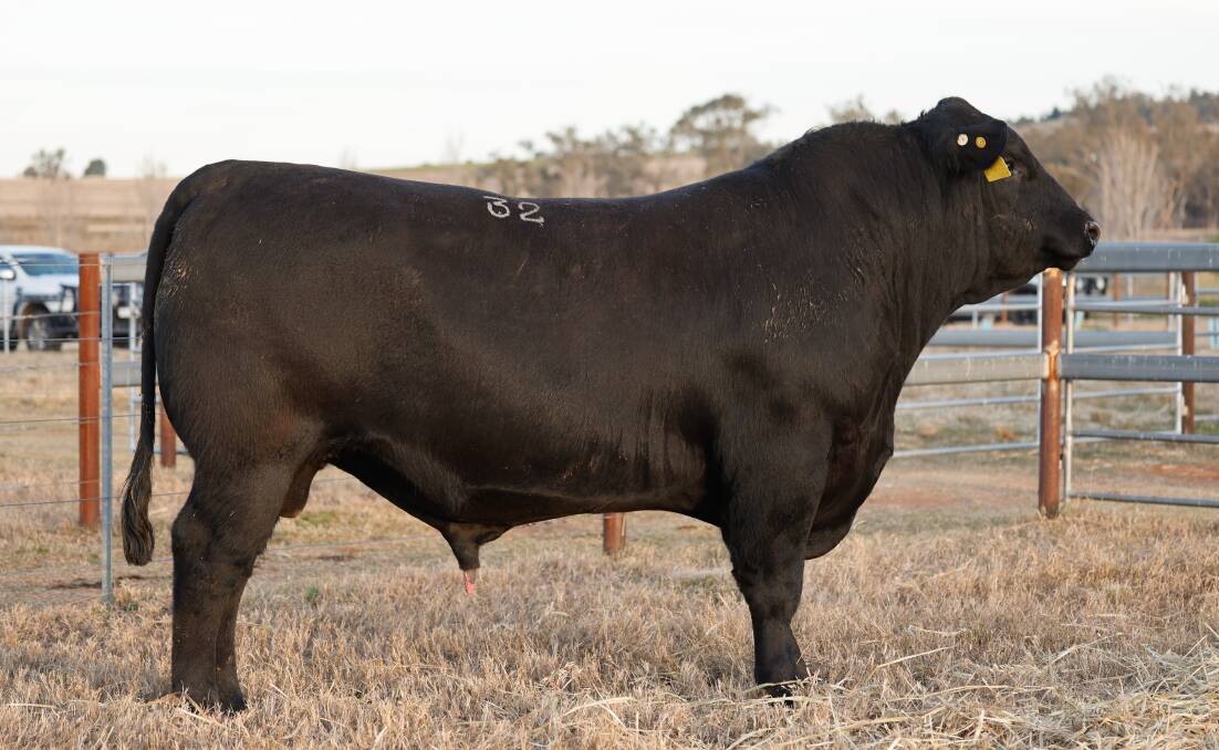 The $80,000 sale-topping bull was Texas Bonus R204.