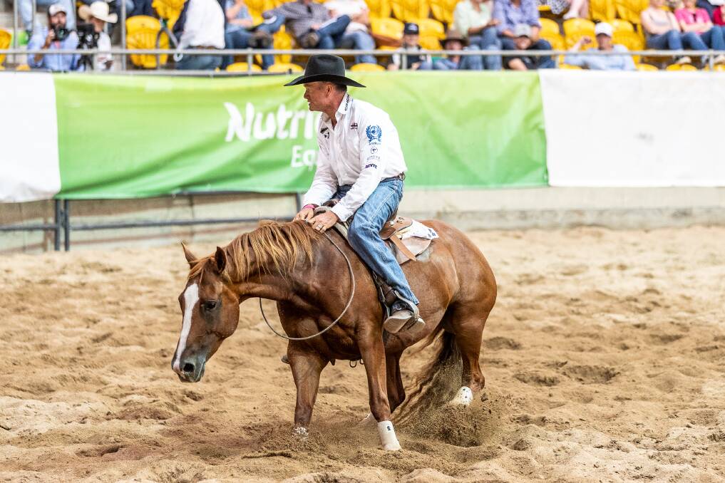 Peppyphalair with Mark Buttsworth in the saddle, working during the Nutrien Classic Campdraft Sale auction and selling for $335,000. Picture by Penwood Creations