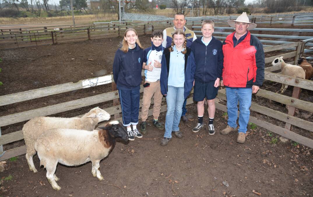Tom and Jerry made $150 each at the Guyra sheep sale. Woolgoolga High Ag students, Allana, Ethan, Miranda and Mitch with the Ag teacher, Gavin Whitburne and Terry Williams, Elders Guyra.
