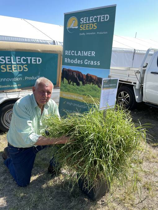 Selected Seeds' Terry Beeson with a sample of Reclaimer Rhodes grass at Agquip this year. Picture by Simon Chamberlain