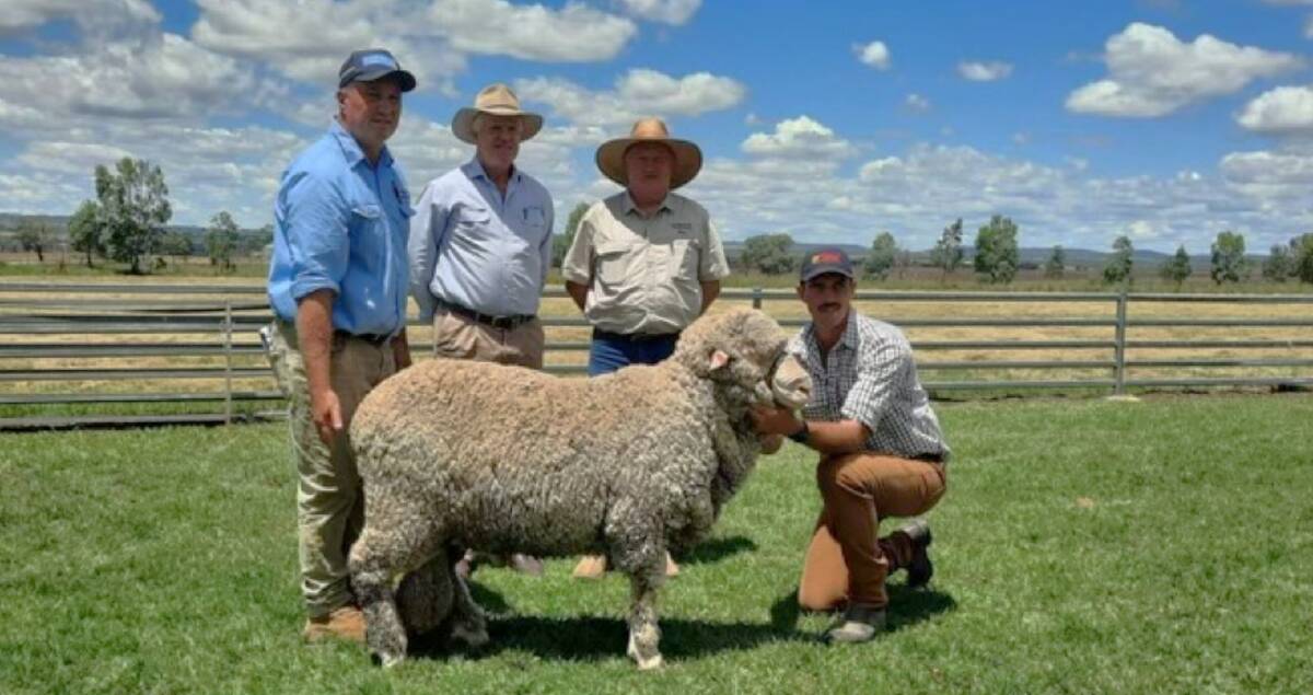 Phil Evans, Schute Bell Badgery Lumby, AWN's wool and sheep specialist, John Croake, Lauriston Pastoral's John Rosberg, Inverell and James Ballinger, Waverley Downs stud, Delungra. Picture supplied.