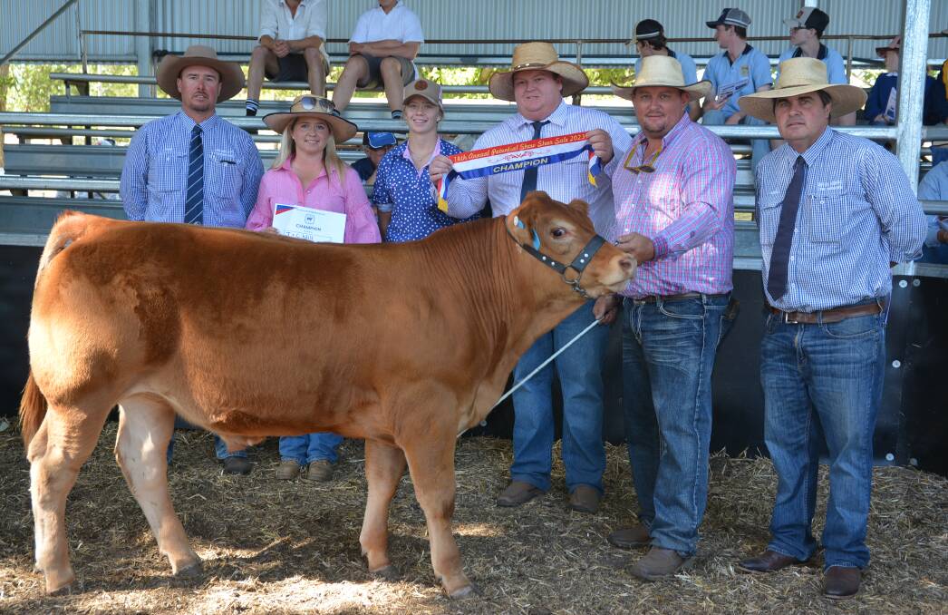 Shad Bailey Collin Say & Co, Courtney Will, TCW Livestock, Delungra, associate judge Ella Saul, judge Brent Evans, JBS Livestock, Kingaroy, Queensland, Tyson Will, TCW Livestock parading the top-priced steer and Nathan Purvis, Colin Say & Co. Pictures by Simon Chamberlain.
