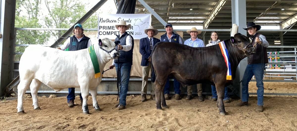 Armidale hosts Northern Schools prime steer show over weekend.