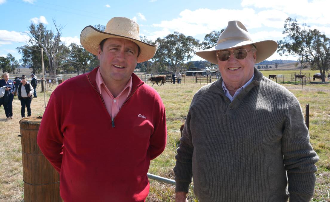 Averaging $15,775 for 40 bulls, the Tycolah Poll Hereford stud, Barraba, continued its trend of ongoing success as a supplier of seedstock and commercial whiteface cattle.