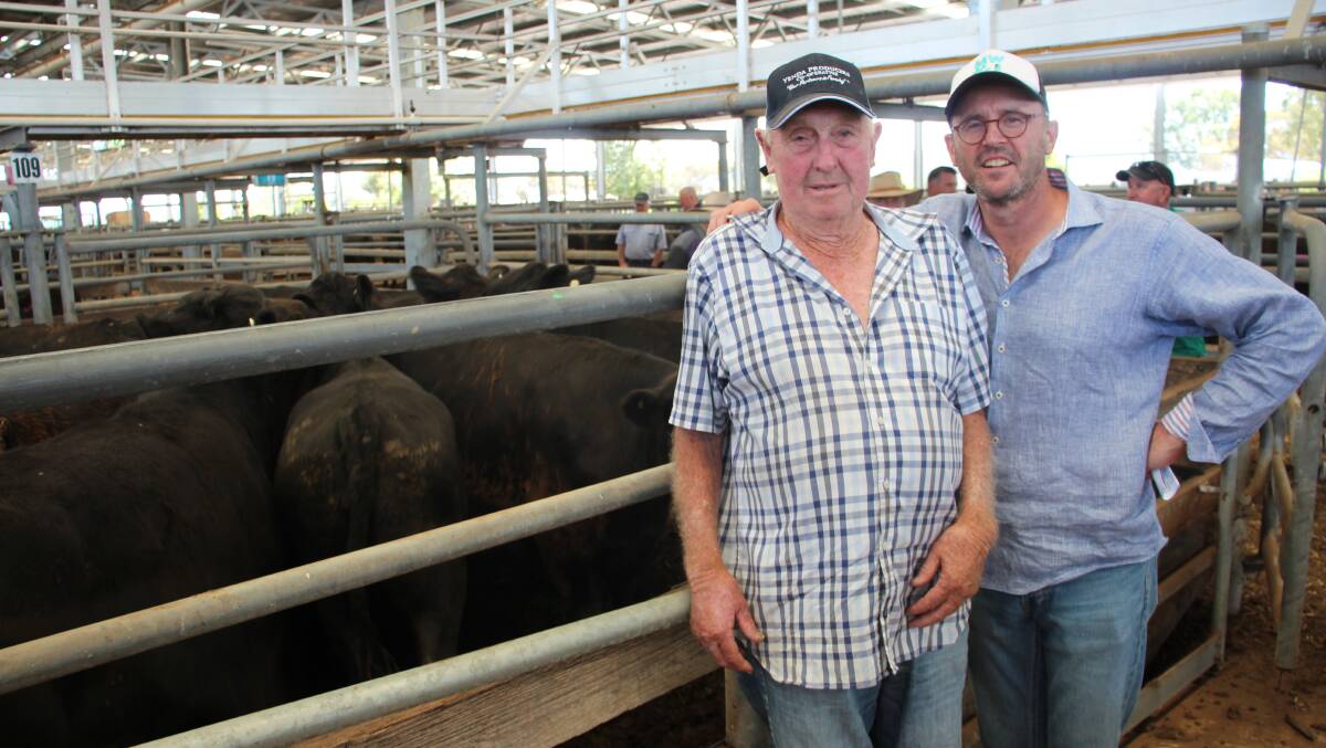 Ross Schutt and Brad Hennessy from B.T.H. Pastoral Group, Docker, with their four Angus steers, 375kg, sold for $1920. Photo: Alexandra Bernard