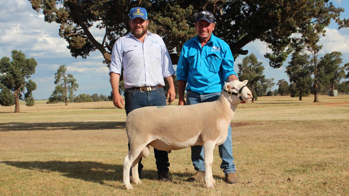 Buyer Jake Hamblin, Matong, and Ben Prentice, Kurralea, with the top-priced White Suffolk ram 326-22 sold for $3000. 