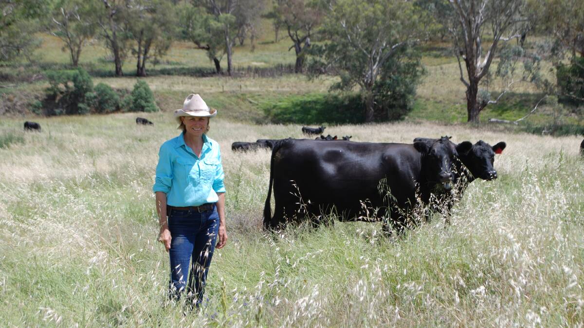 Wendy Bowman, Liscombe Pools, Mandurama, with Rennylea-blood cows with six-month-old calves at foot. Picture by Rebecca Nadge.