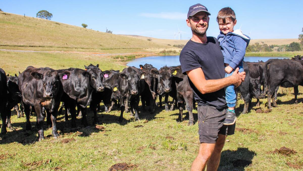 Adam and Archer Rabjohns with their Angus cows with Mashona/Angus calves. Photos: Alexandra Bernard