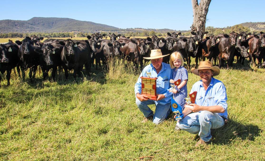 Andrew, Hennie and Tom Hicks, Hicks Beef, Holbrook (also on our cover), with some of their composite cows. They won a number of awards in the 2023 Beef Spectacular Feedback Trial including grand champion pen of five steers. Photo: Alexandra Bernard