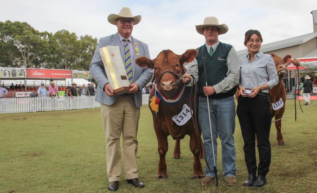 RAS councillor Stuart Davies, Lachlan Mann, and Nahomi Matsuda, Japanese Consulate, with the champion heavyweight steer on the hoof. The steer proceeded to take out the supreme purebred steer exhibit. Picture by Alexandra Bernard.
