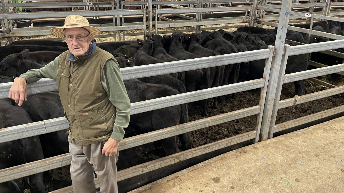 Bill Weidner from Bungowannah Park, Bungowannah, sold numerous lines due to the wet weather, including these 24 Angus heifers, 333kg, for $1790 at Wodonga on Thursday.