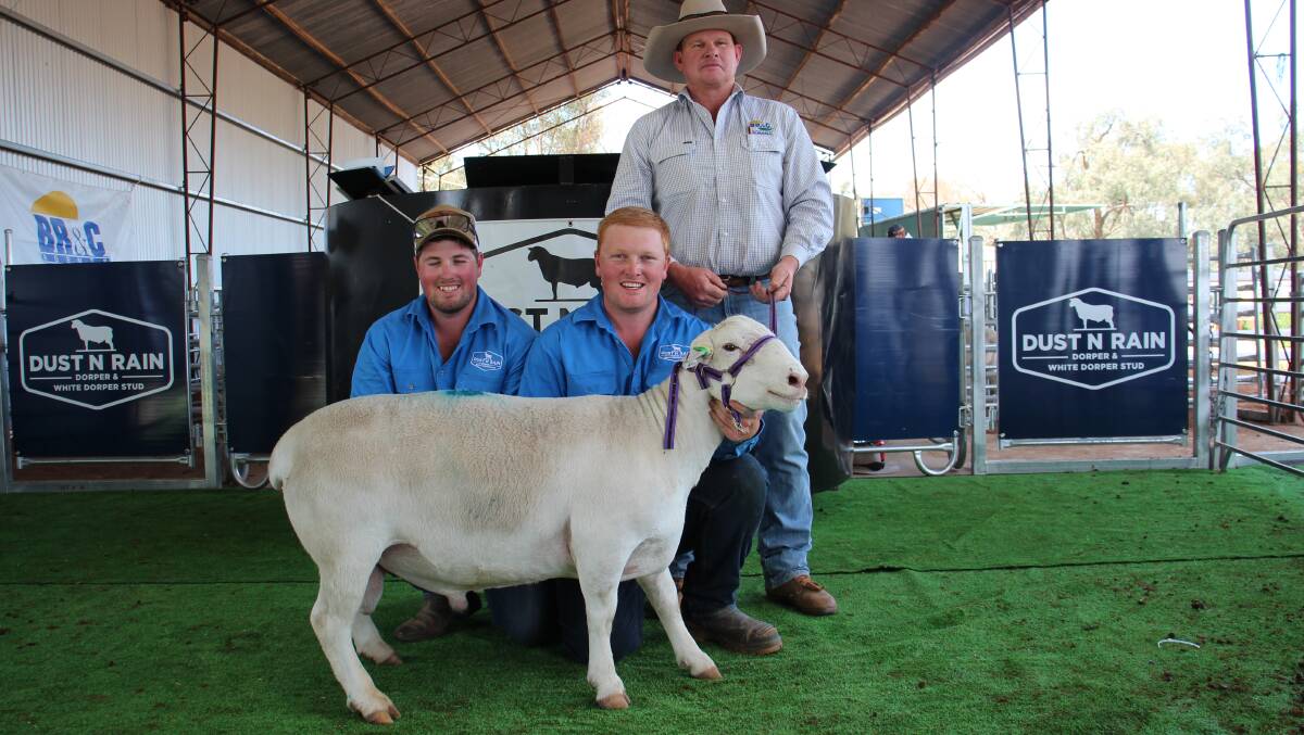 Jack and Thomas Cullinan and BR&C agent Russel Anthony with one of the White Dorper rams sold for $6200. Photo: Alexandra Bernard