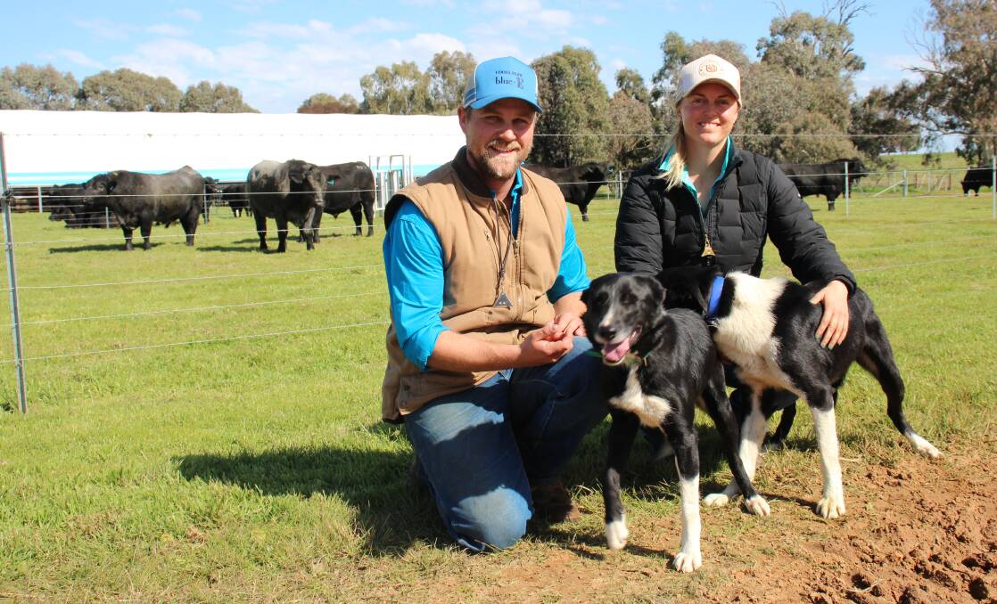 Nick Hovey, Coota Park, Woodstock, Lauren Vest, Canberra Working Dogs, and dogs Everest and Bill. They both say it is important to buy dogs from someone who is using the dogs in a similar way to how you want to use them and treat them on your property.