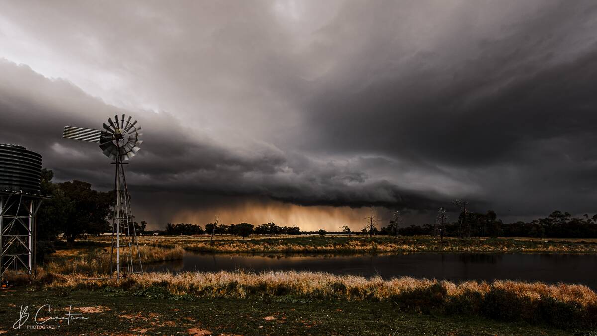 Eye of the storm at Warren, a capture of rural life on the farm. Photo: Belinda Dimarzio-Bryan