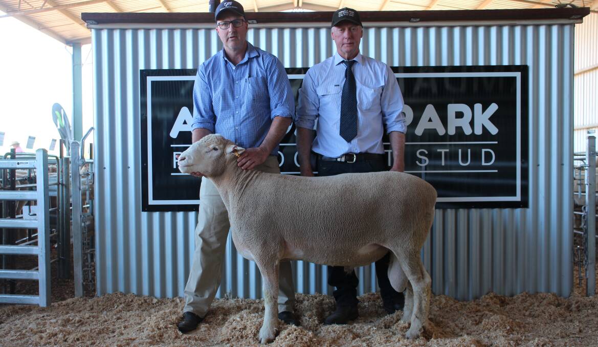 Karl Sinclair, Boree Lane Poll Dorset Stud, Lidster, and Garry Armstrong, Armdale Park, with the second top-priced ram sold for $18,000. Photo by Alexandra Bernard.
