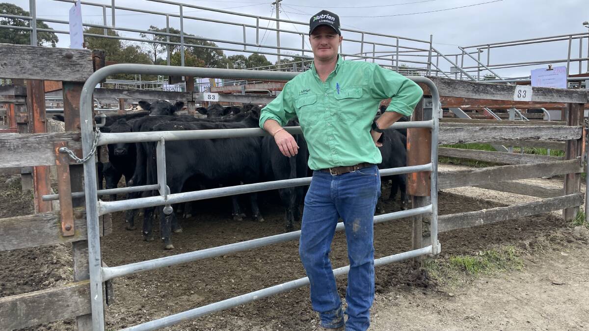 Nutrien Braidwood's Charlie Croker at the Annual Nutrien Ag Braidwood Blue Ribbon with NRodney and Naomi Royds weaned Angus Heifers, 260kg, which sold for $2020.