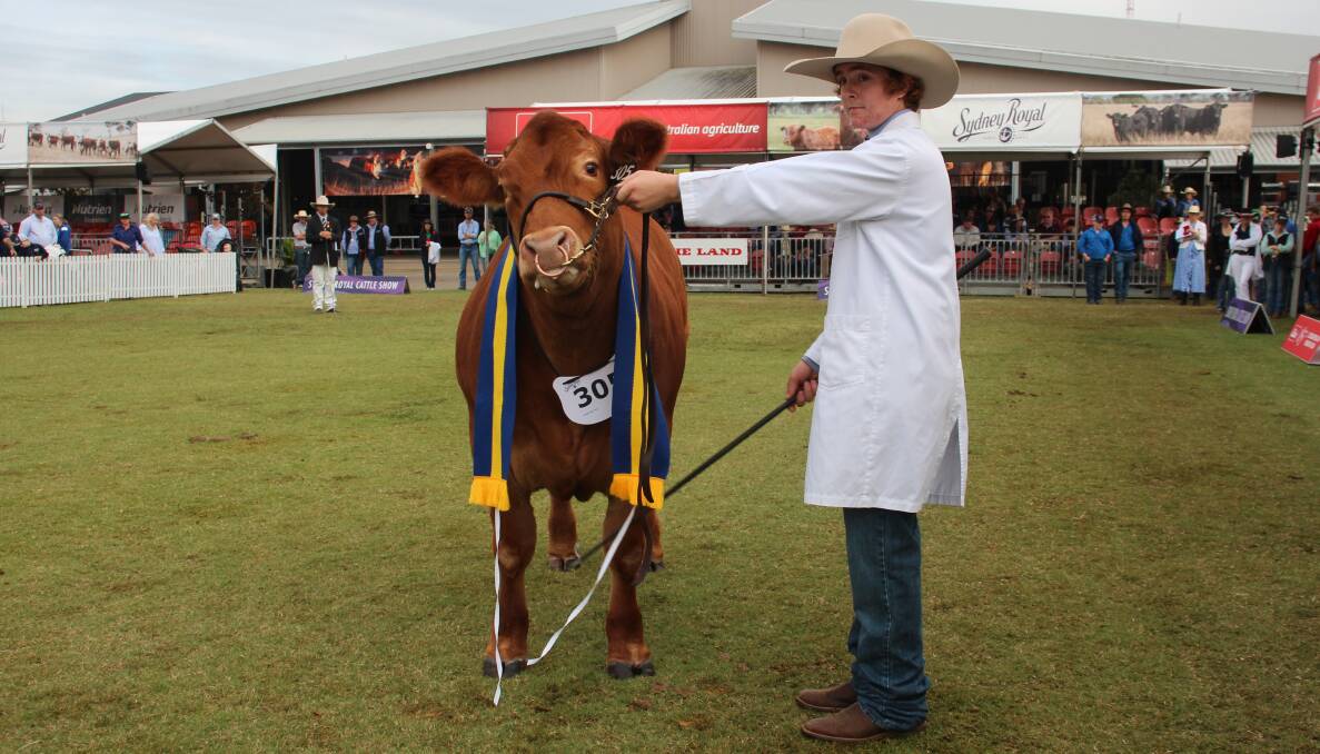 Charlie Spry, Forbes, with the reserve champion school steer. Picture by Alexandra Bernard.