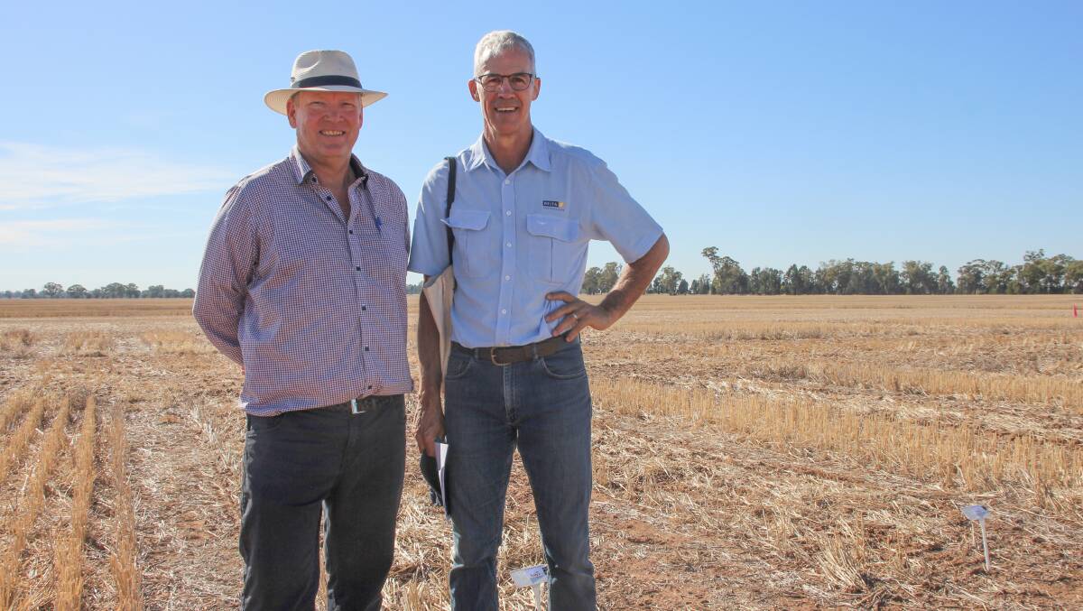 John Kirkegaard, CSIRO, and Tim Condon, Delta Ag, at the Rennie site. Picture by Alexandra Bernard.