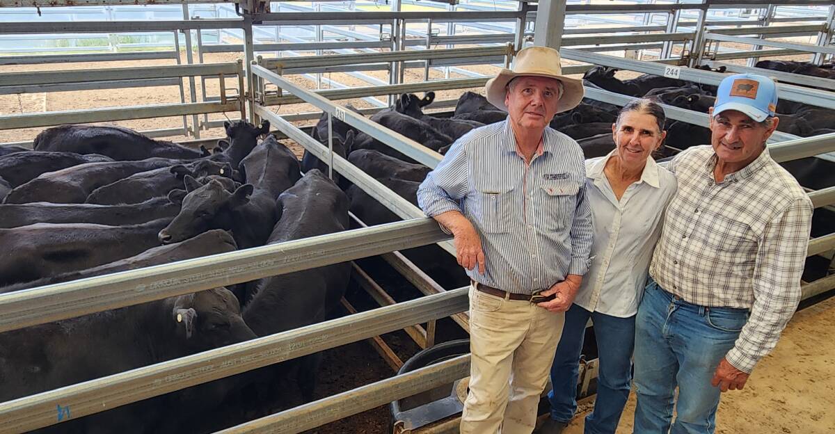 Agent Ian Morgan with Julie and Steven Felton, Bendemeer, who sold a draft of 75 Angus heifers for $1150 a head at Tamworth last Friday. Picture by Michelle Mawhinney, Tamworth Livestock Selling Agents Association.