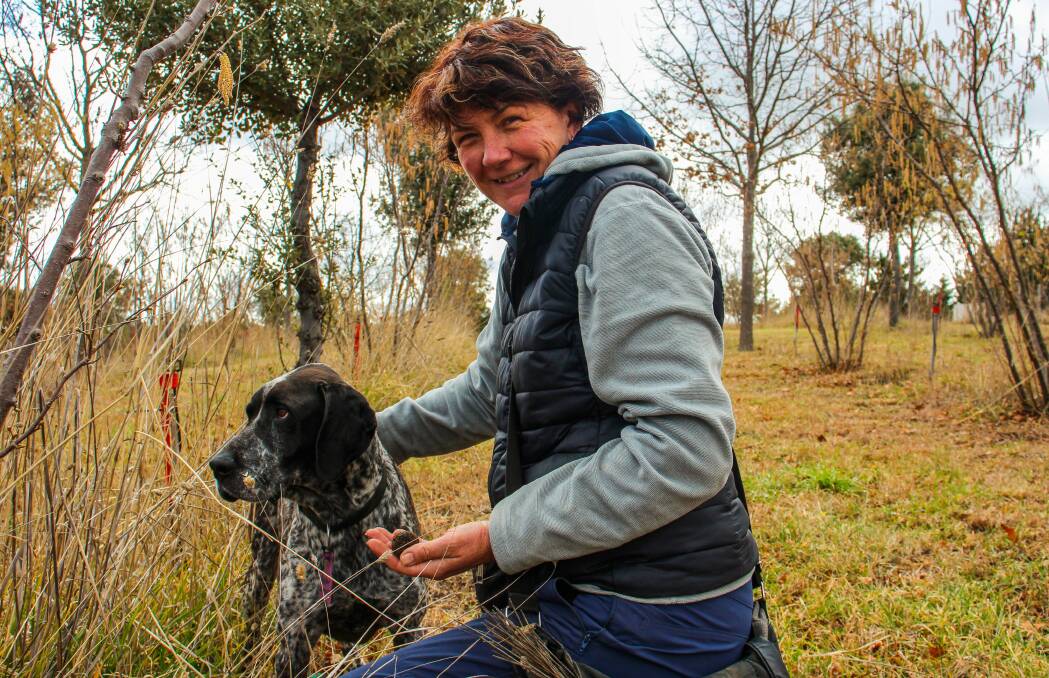 Gill Cummins, with truffle dog Pepper, had seen varied success for growers at the different truffieres she goes to with her dogs.