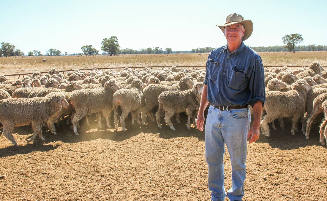 The West Wyalong flock ewe competition was held last Friday with four entrants showing their ewes. Photos: Alexandra Bernard