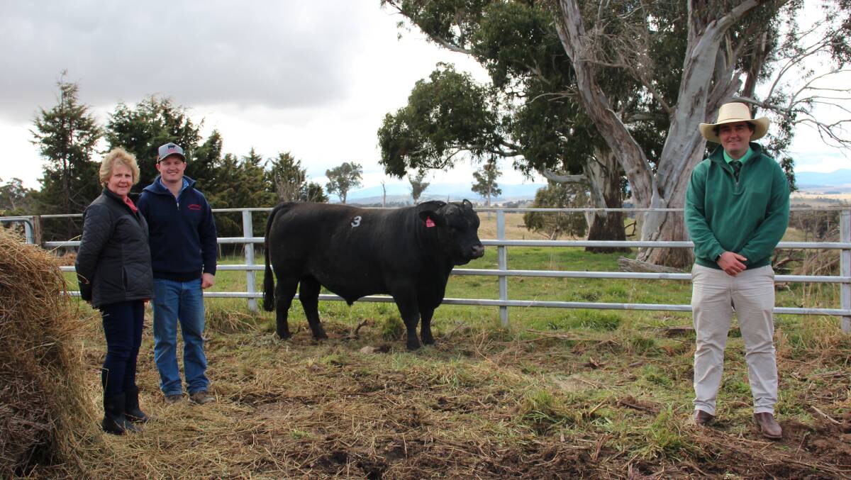 Buyer Robyn Kuch, Mitch Lynch, Kunuma, and Nutrien Cooma agent Damien Roach with top priced bull sold for $30,000 at Kunuma Angus. 
