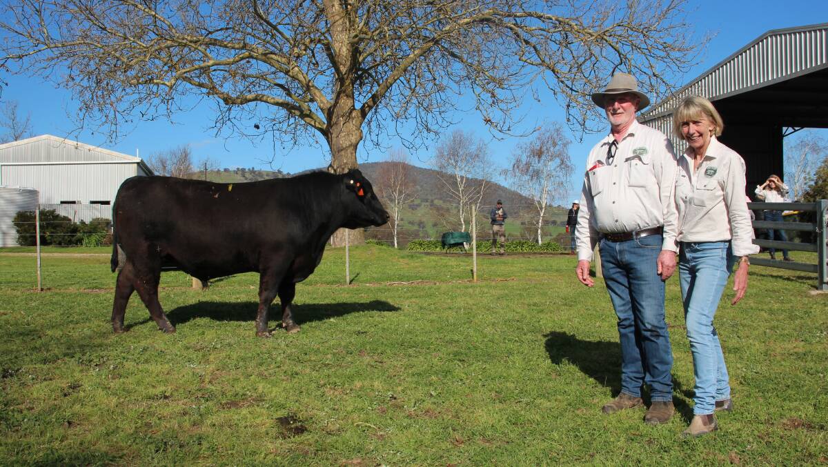 Mike and Joy Gadd, The Glen Angus, with the top-priced bull sold for $16,000. Photo by Alexandra Bernard.