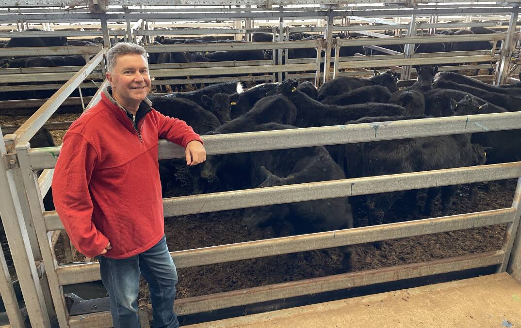 Leo Whyte, Barranduda, with his 18 Angus steers, 328kg, that sold for $1940 a head at Wodonga store sale on Thursday. 
