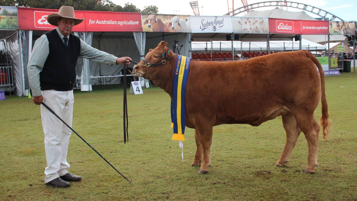 John Willcocks, Tenterfield, with the reserve champion trade steer or heifer. Picture by Alexandra Bernard.