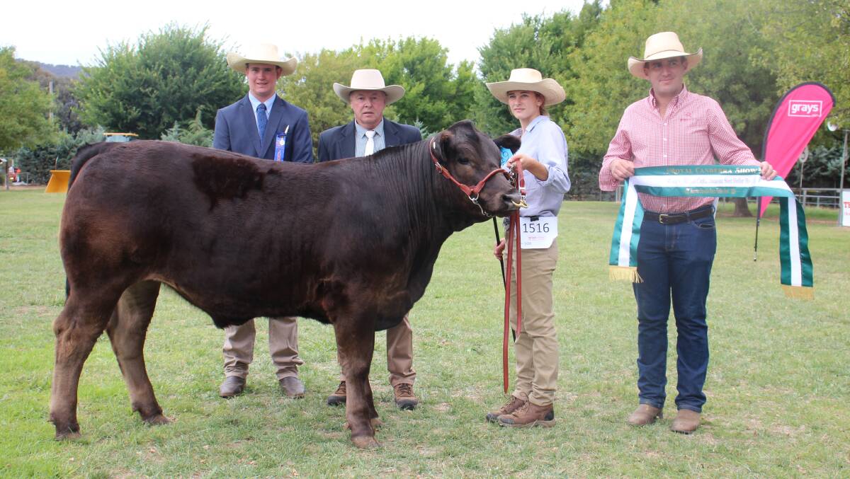 Associate judge Hamish Maclure, judge Bryce Whale, Katelyn Woods, Crookwell High School, and Steve Martin, Greys Online, Dubbo, with the reserve champion steer CHS Star. Photo: Alexandra Bernard