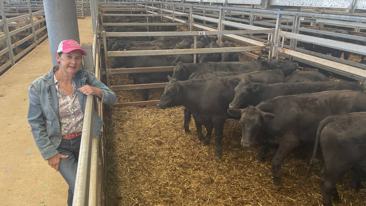 Timmy Turnbull, Tallangatta South, sold 11 Angus steers, 400kg, for $1630. Photo: Alexandra Bernard