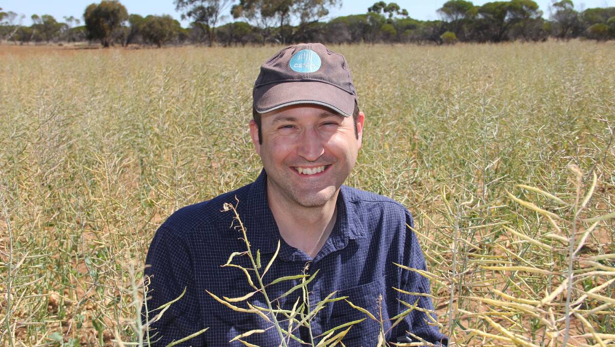 CSIRO researcher, Matt Nelson, Perth, says losses attributed to poor canola establishment are estimated at about 100 to 200 million dollars a year. Photo supplied.