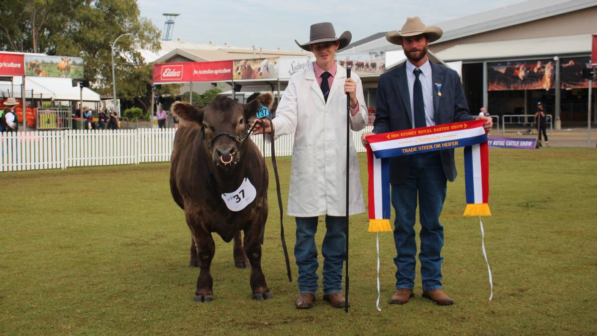 Marcus Wythes, Scots All Saints College, Bathurst, and judge Ryan Brown, Durong, with the grand champion trade steer. Picture by Alexandra Bernard. 