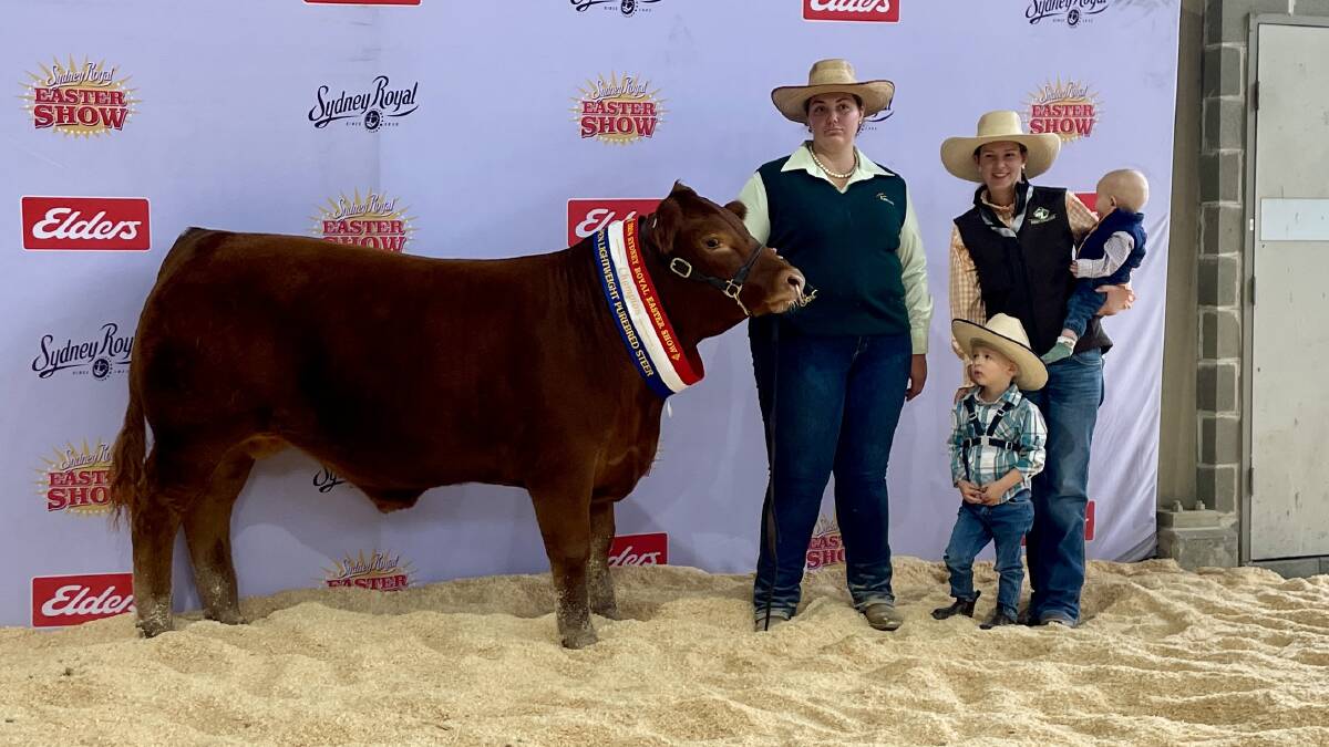 Chloe Bailey, Wagga Wagga, Jasmine, Arthur and James Green, Roslyn, with the top-priced steer from the purebred steer auction. Picture by Hayley Warden. 