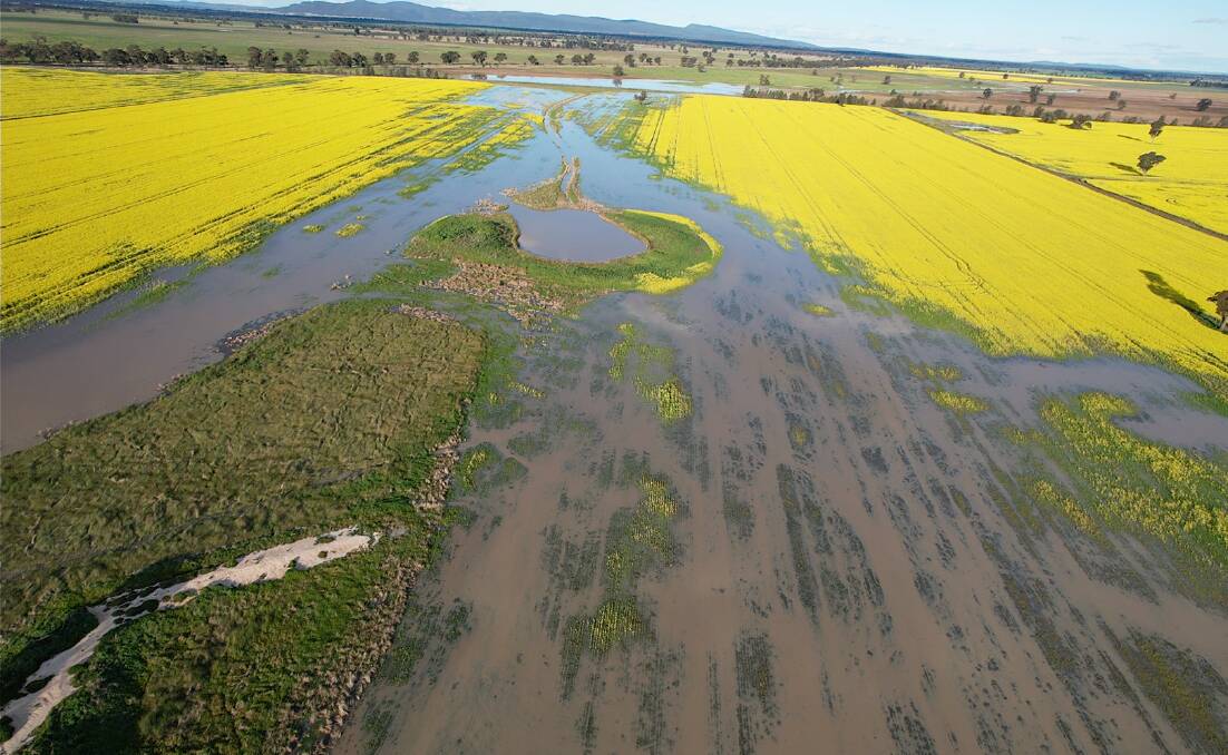 Some of the Pollock's canola crop has ended up underwater with other parts of their paddocks left unsown. Photo: Supplied