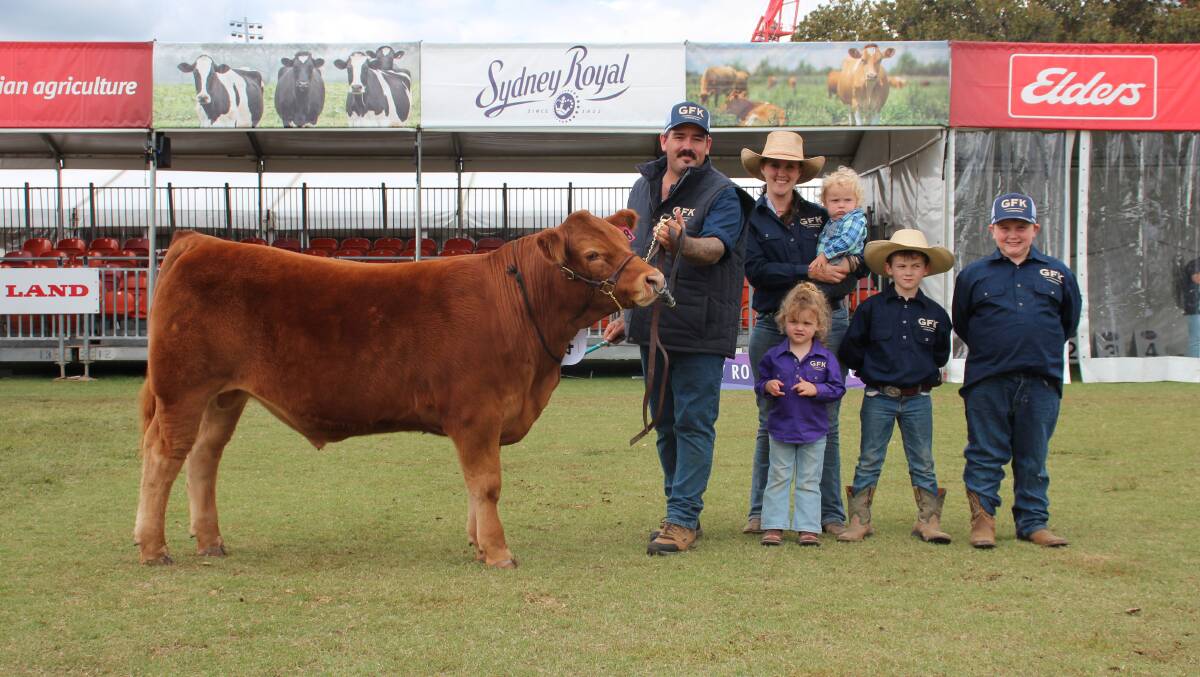 Cory, Katelyn, holing Louis, Mary, Oliver and Charlie Graham, Adelong, with the second top-priced steer from the purebred steer auction. Picture by Alexandra Bernard.