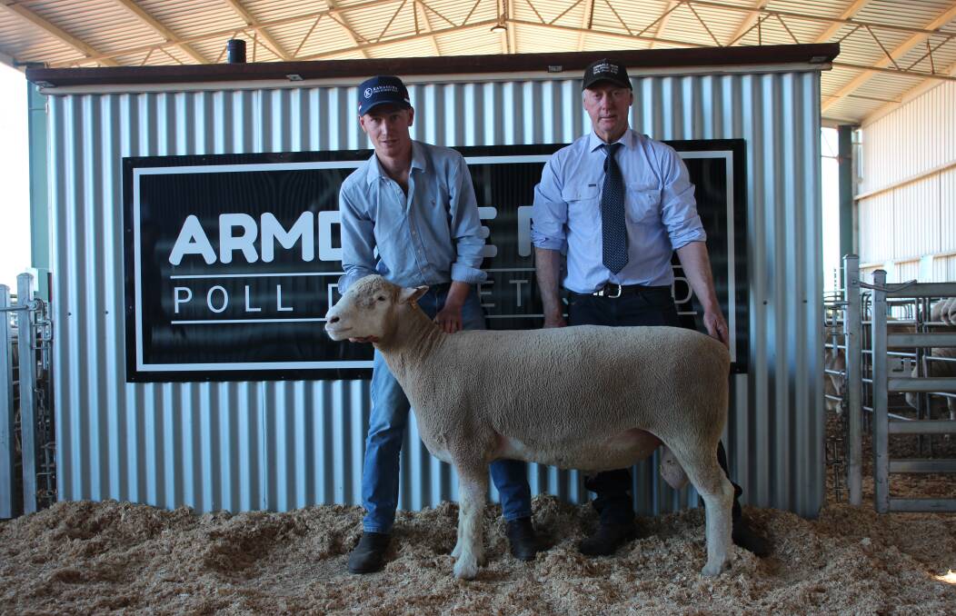 Buyer Angus Webb, Yerong Creek, and Garry Armstrong, Armdale Park Poll Dorset stud, with the top-priced ram sold for $26,000. Photo by Alexandra Bernard.