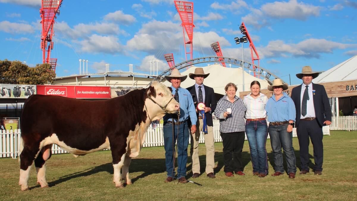 The Hann family with Michael Crowley, Herefords Australia CEO, and judge Alastair Day, SA with the best Hereford exhibit Truro Sherlock. Photo by Alexandra Bernard