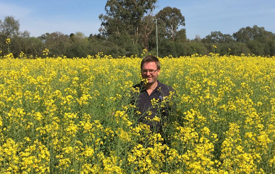 Glenn Dyason, Senior Agronomist with Delta Agribusiness at Coolamon in southern New South Wales, expects Tenet herbicide will continue to play a key role for weed control in canola following its post-emergent registration. Picture supplied