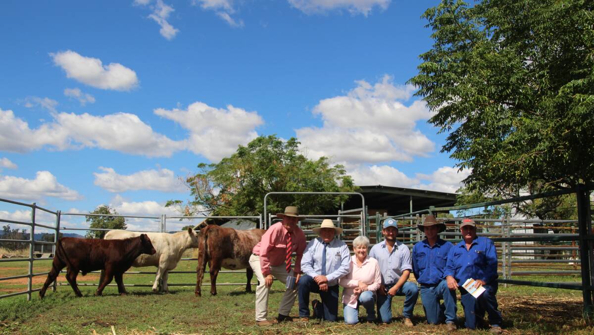 The $14,500 top-priced female, Barana Heros Ruby 2nd P, and dam, Futurity Heros Ruby L48 P, with calf, and Brian Kennedy, Elders, Peter, Charmaine and Campbell Cook, Barana, Scott and Phillip Gale, Springsure, Qld.