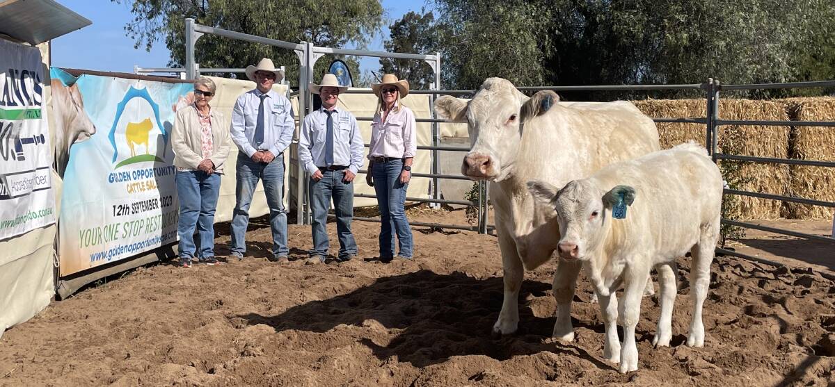 The $15,000 top-price, Myona Rose N6, and the heifer calf at foot, with Beverly Hogland, Myona Charolais, Scott Myers and Alex Croker, H. Francis & Co, with purchaser Vanessa Selleck, Wickel Park Charolais, Merricks North, VIC