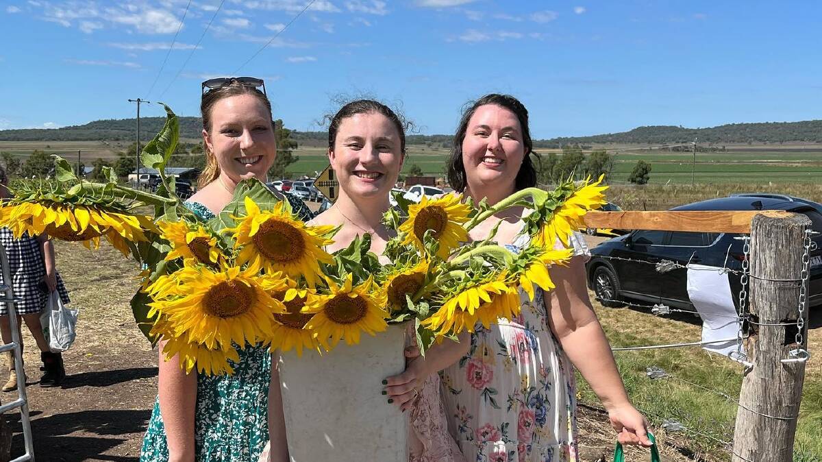 Farm visitors could pick all they could carry before the flowers are ploughed in. Picture: Warraba Sunflowers Instagram