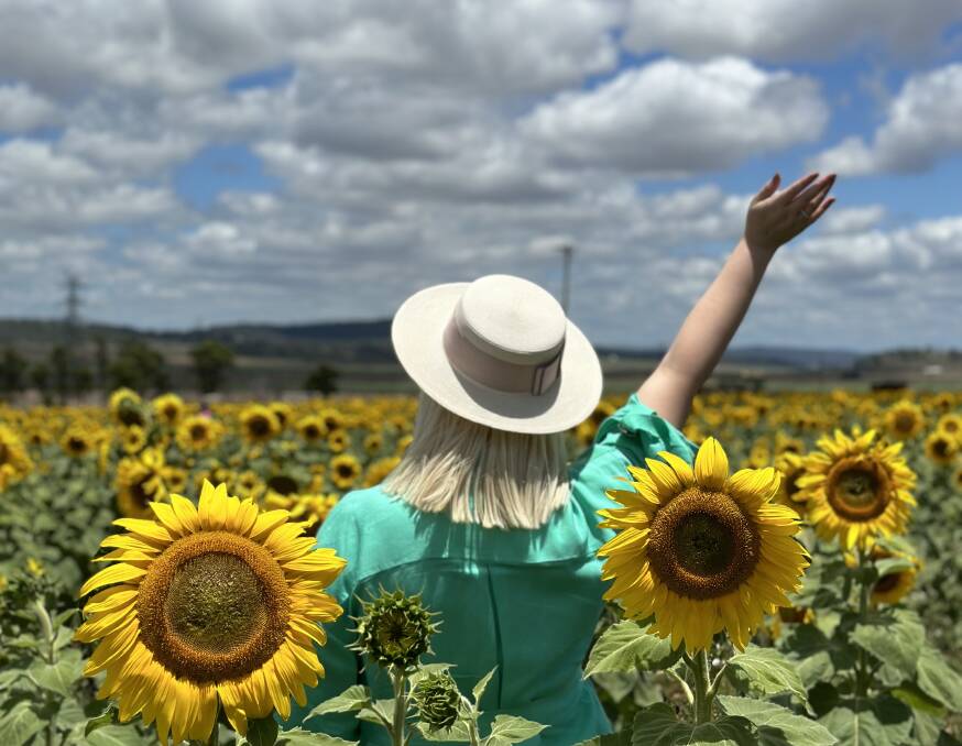 The selfie sunflower field will be back for winter and next summer. Picture: Madeline King 