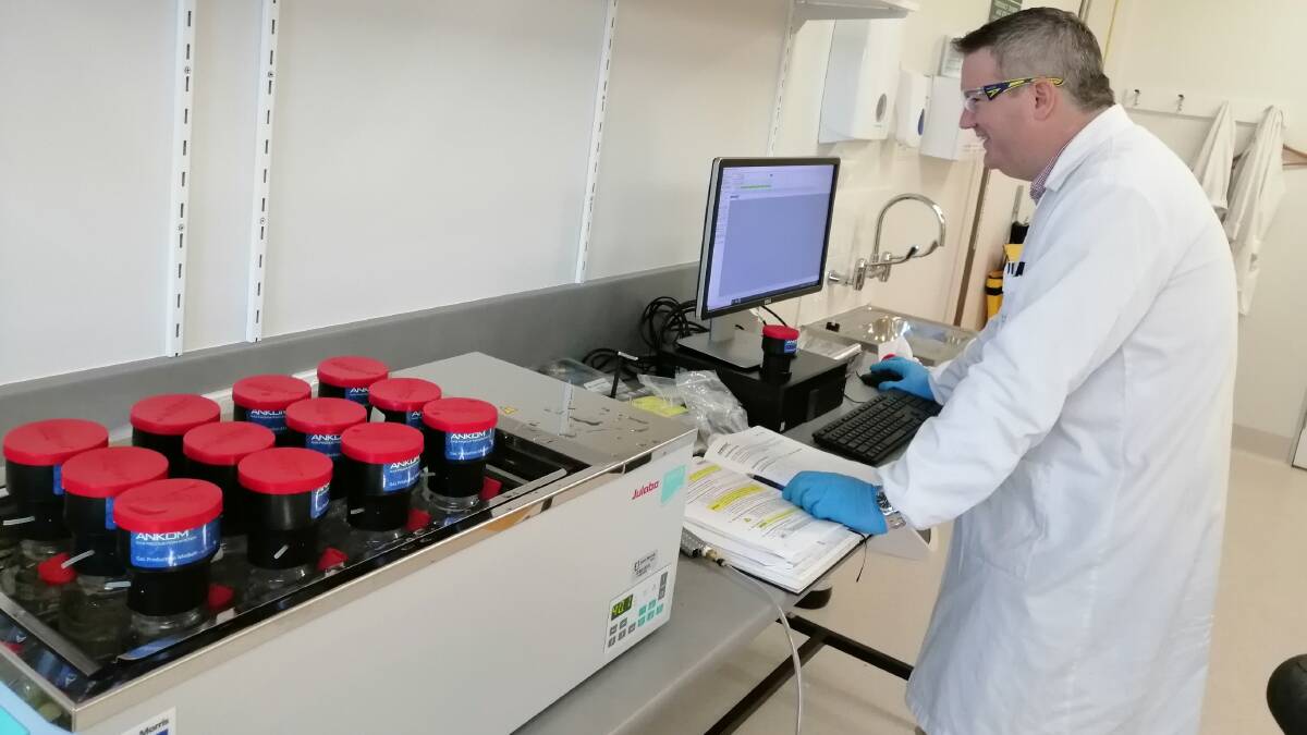 PhD student Ryan Batley checks samples of lemongrass and traditional feed at the CQUniversity laboratory. Picture: Supplied 