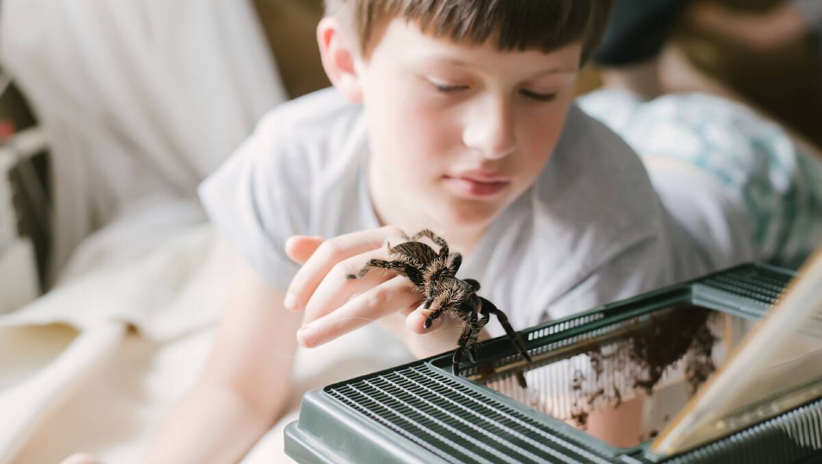 A child with his pet tarantula. Picture by Lipatova Maryna